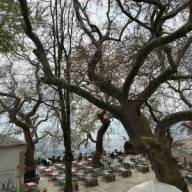 2024-25 Τριήμερη εκδρομή στο Βόλο και στο Πήλιο